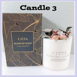 Bloom of Scent Candle 3, Home Candles, Candles, Candles with dried Flowers